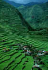 Batad_Village.jpg (105287 bytes)