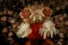 Boxer Crab with Eggs.jpg (237133 bytes)