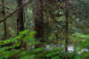 wpe7.jpg (39273 bytes)