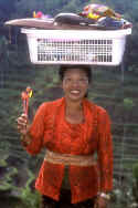 Souvenir Lady.jpg (44626 bytes)