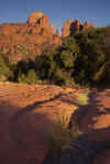 The Cathedral, Sedona.jpg (289636 bytes)