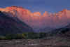 Zion Sunrise.jpg (233124 bytes)