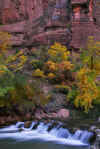 Zion Waterfall.jpg (339385 bytes)