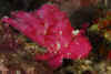 _DSC0032.jpg (488785 bytes)